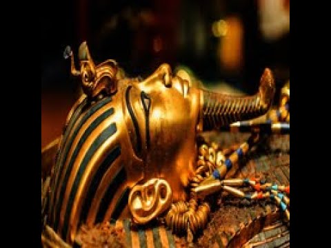 Video Fibonacci Arman EA4