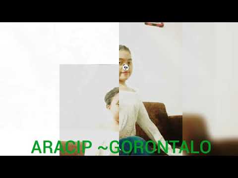 Pasukan aracip gorontalo