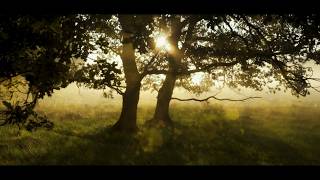 Undertone (2026) Video