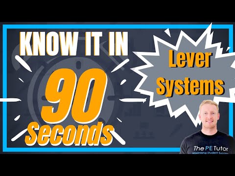 What Is A Lever System