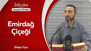 Emirdağ Çiçeği/Hakan Uyar