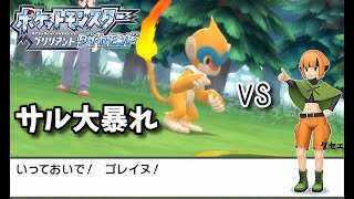 サル縛り！ポケモンダイパリメイク　そのご