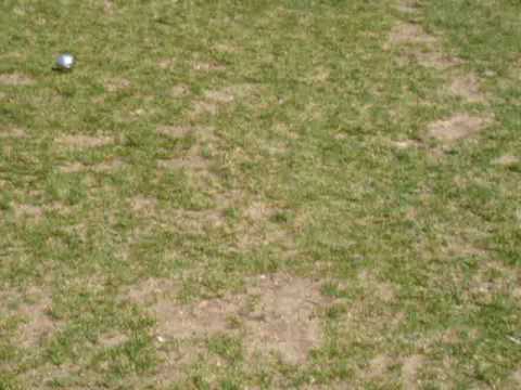 Breaking the rules of pétanque!