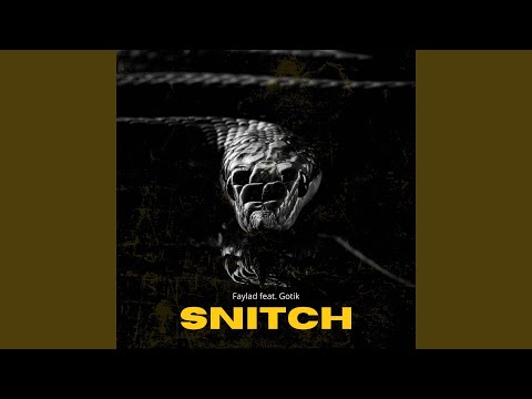 Snitch (feat. Gotik)