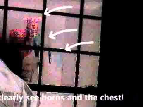 Ghosts, Poltergeists, and Demons: Episode 2