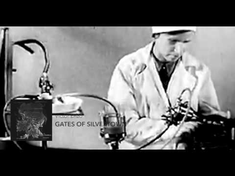 Victor Enzo - Gates Of Silvertown [Nin92wo Records]