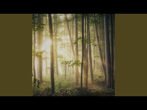 Great Fairy Fountain (from 'The Legend of Zelda') (Piano Version)