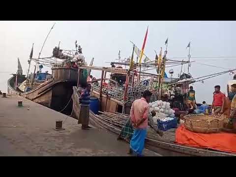 Golden Carp Fish Run Race - Stop motion Relaxing Catching Eggfish Cooking by Unique Fishing Cuckoo