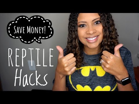 Reptile Hacks? - 10 Ways To Save Money