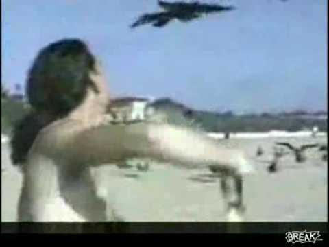 Gaviota se hace popo en la cara de un bañista