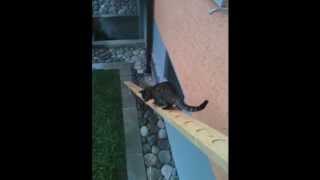 Schtägeli uf, Schtägeli ab, juhee :-)