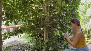 Download lagu Life in the Countryside: Animals, Nature & Quiet Moments 🤍🌾 mp3