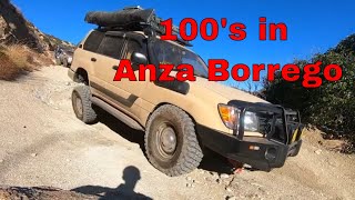 100's in Anza Borrego #100serieslandcruiser #lx470