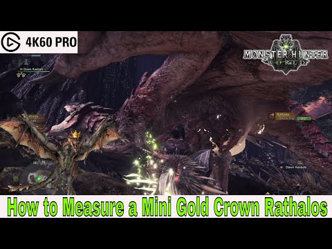 Monster Hunter: World - How to Measure a Mini Gold Crown Rathalos Video