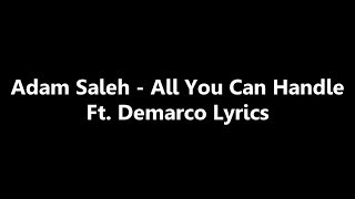 Adam Saleh - All You Can Handle Ft. Demarco Lyrics