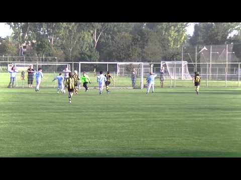 Samenvatting Hermes DVS E3 - VFC E10