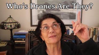 Who's Drones Are They?