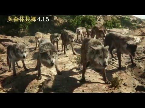 【與森林共舞】正式預告 2016年4月15日  與全美同步上映