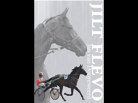 10. Jilt Flevo - Jan van Dooyeweerd