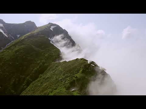 Tomáš Oravec - Slovenskí muzikanti