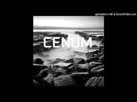 CENUM - Zombie Panic