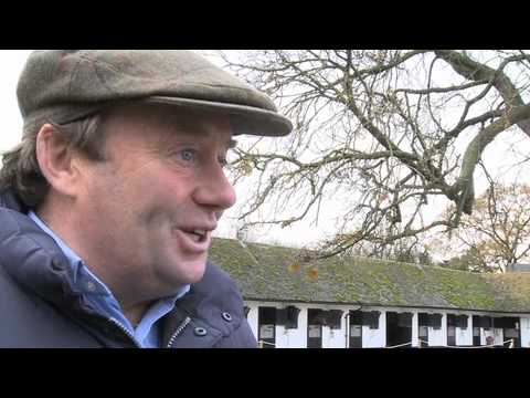 Horse racing: Christmas At Kempton
