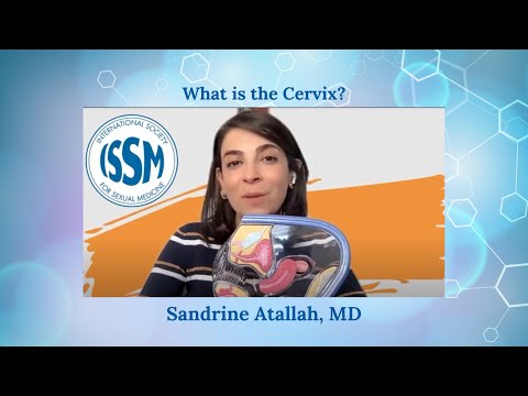What Is the Cervix? - ISSM