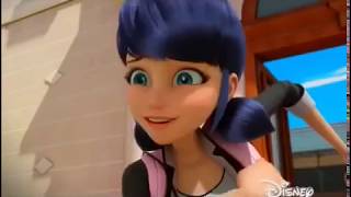 Леди Баг и Супер Кот - Катализатор - День героев. Часть 1 (2 сезон 25 серия)