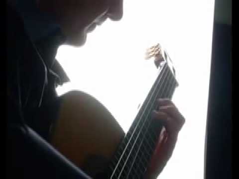 Ricardo Moyano.J.S.Bach bwv 997 no.2 prelude (with steel string guitar)