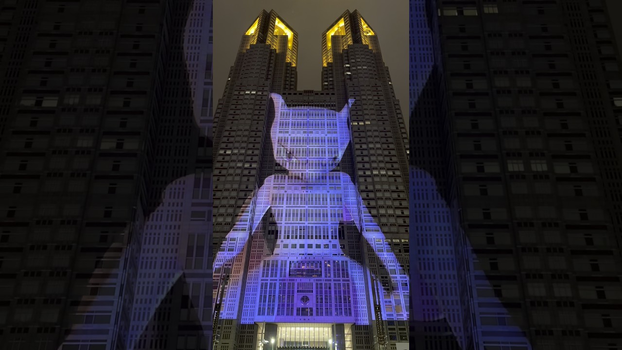 【都庁】ポケモンのプロジェクションマッピングが最高すぎた！！ #ポケモン #ポケカ #tokyonightandlight