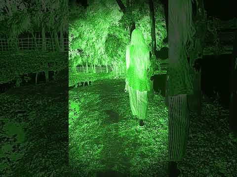 Denjer Bhoot😳😱😭#shorts #trending #bhoot #world