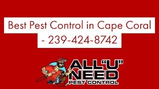 3 Best Pest Control Companies in Cape Coral, FL - Expert ...