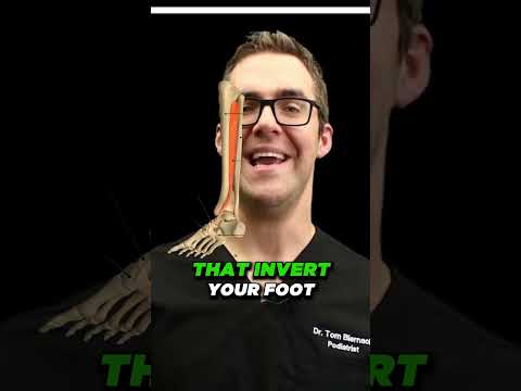 Heel Spurs Plantar Fasciitis BEST Home Treatment 2022