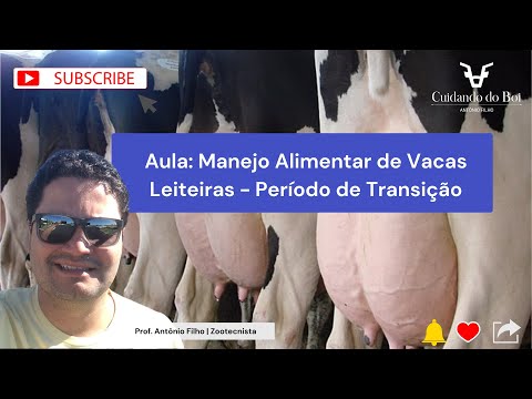 , title : 'Aula de Bovinocultura: Manejo Alimentar de Vacas Leiteiras / Período de Transição.'