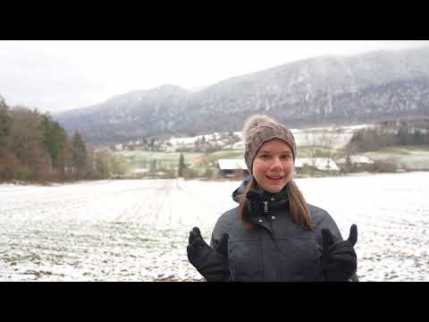 Solothurn city and hiking