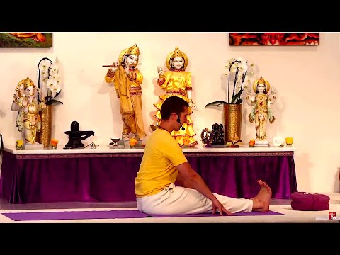 Yogastunde Mittelstufe Yoga Vidya Grundreihe: "Im Gleichgewicht" mit Kalidas 16:15 Uhr 07.07.2020