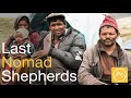 The Last Nomad Shepherds of the Himalayas | Short Documentary Nepal