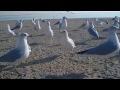 Coney Island 2012