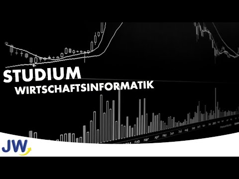 Der Studiengang Wirtschaftsinformatik im Überblick!