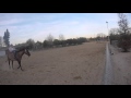 Reining Training Bareback