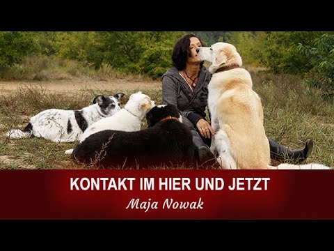 DU VERFEHLST EINEN HUND IM GESTERN UND MORGEN - von Maja Nowak