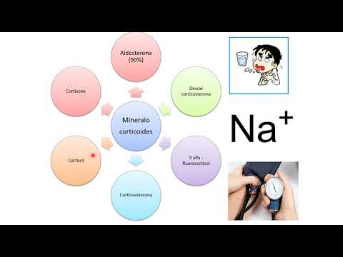 Glándulas suprarrenales 2021