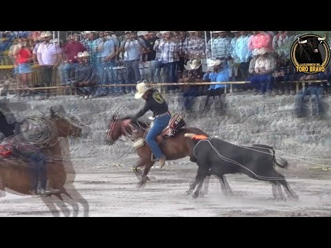 CORRAL DE PIEDRA DE MICHINELAS, CELAYA, GTO.   24/MAY/2026 JARIPEO VOL 30
