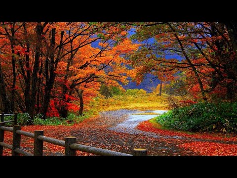 Lối cũ - Phương Uyên