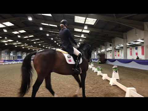 FEI Junior Individual test