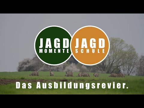 Welcome to our hunting school!