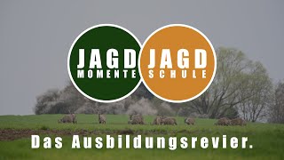 Herzlich Willkommen in unserer Jagdschule!