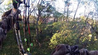 Bowhunting with the ION Camo Cam!