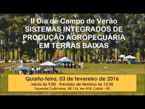 II Dia de Campo de Verão Integração Lavoura Pecuária