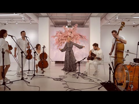 Anita Lipnicka - Wolne ptaki [live session]